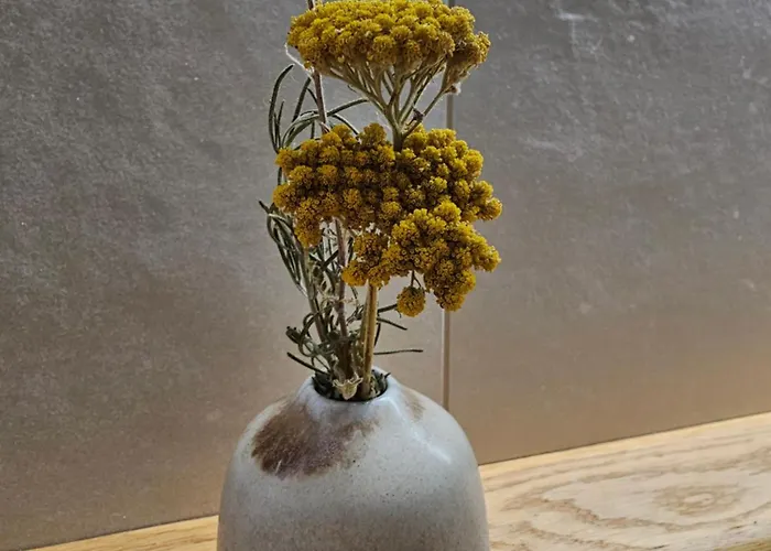 Hopoka Apartamento *